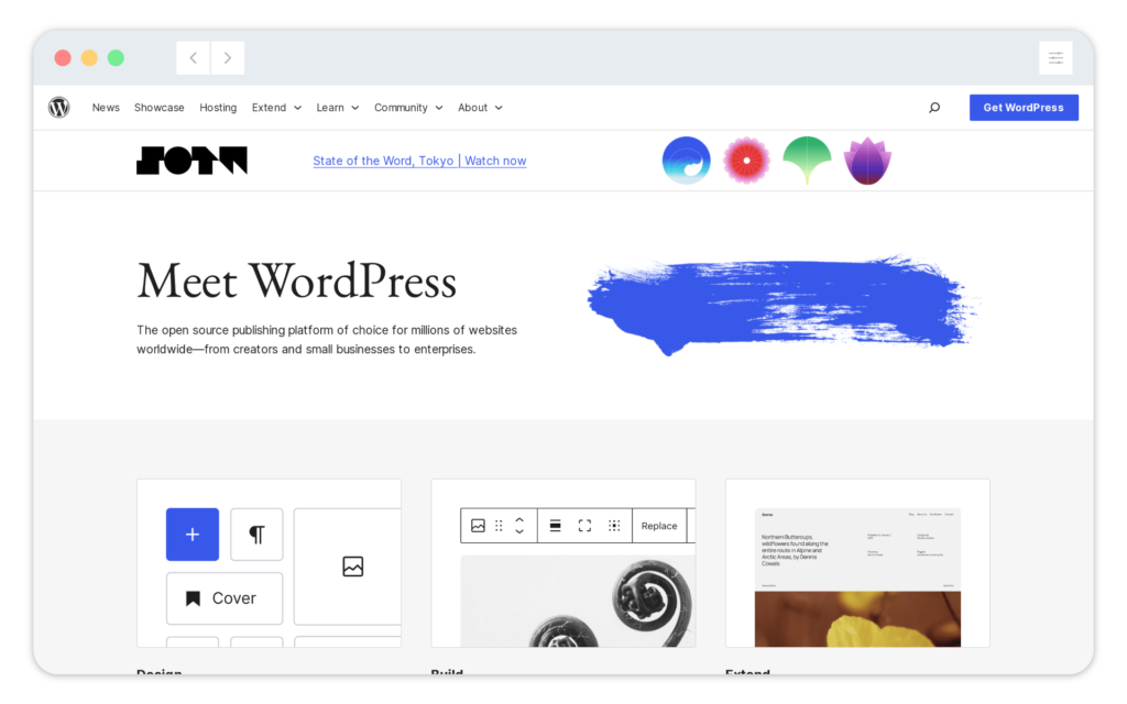 WordPress Developer